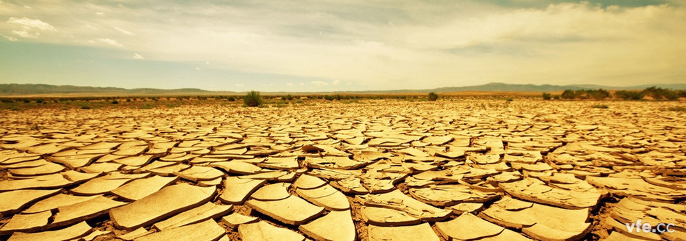 子夜无人免费观看