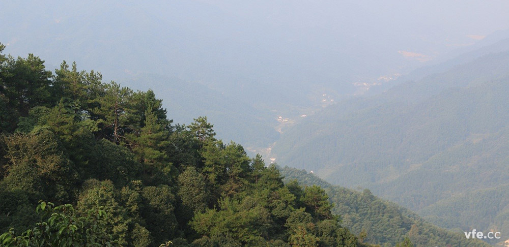 子夜无人免费观看