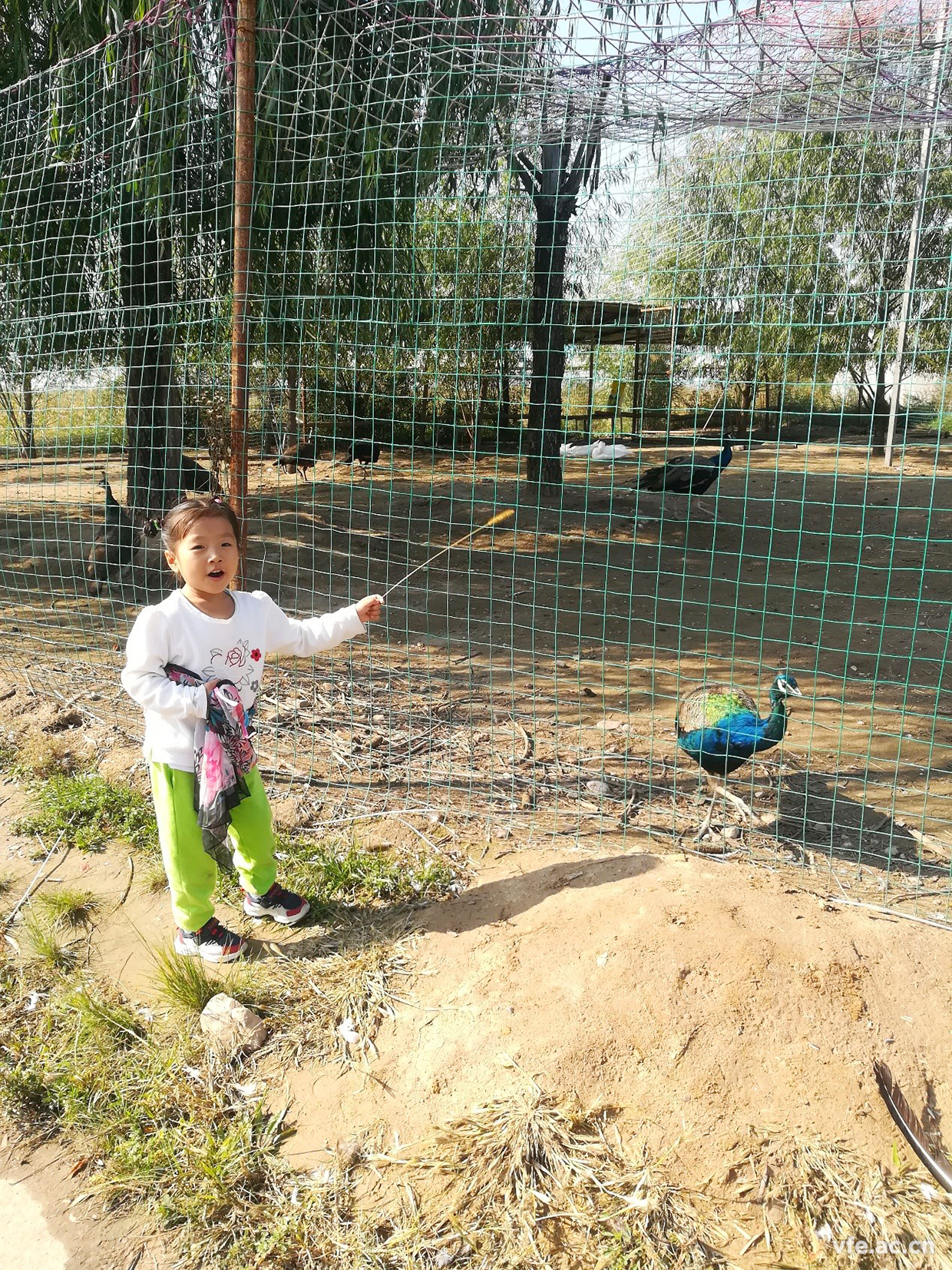 内蒙之行，难忘之旅