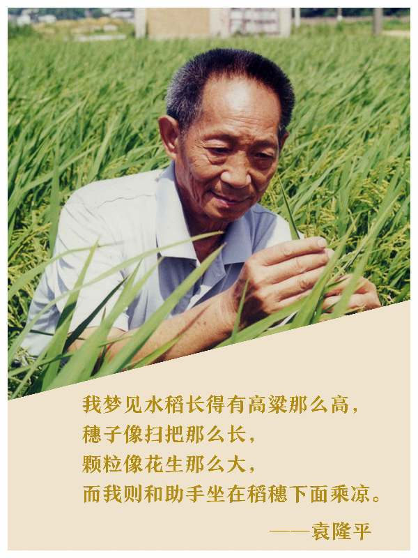 子夜无人免费观看举行袁隆平院士追思会