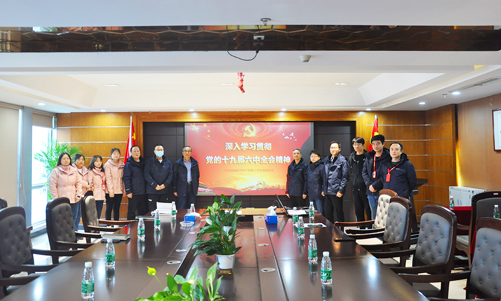 银河电气党支部开展2021年党日系列活动 银河电气党支部开展2021年党日系列活动