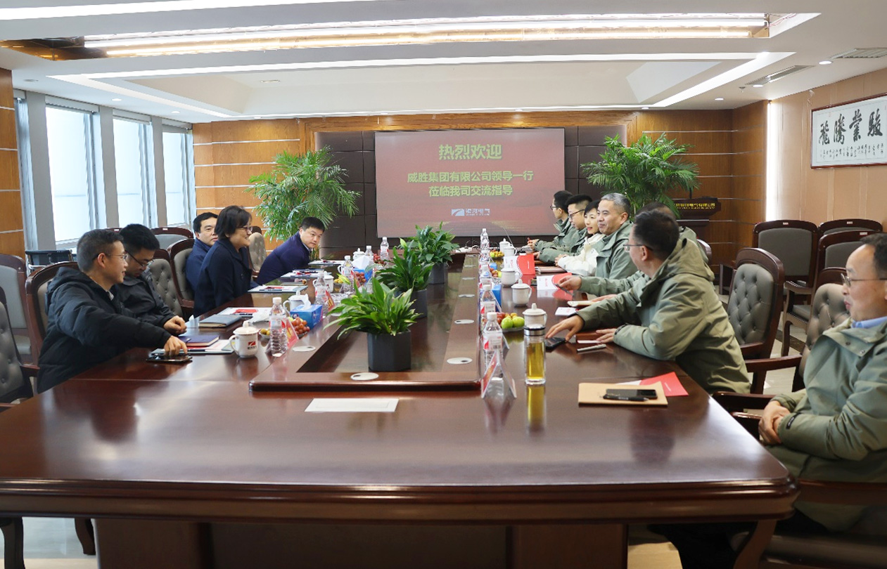 威胜集团访问子夜无人免费观看