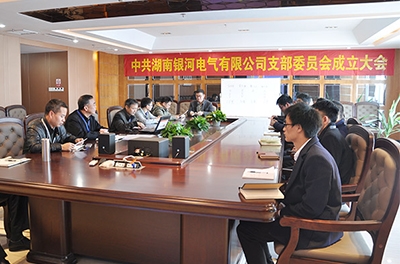 子夜无人免费观看党支部正式成立