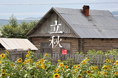 一声梧桐一声秋