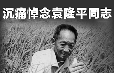 子夜无人免费观看举行袁隆平院士追思会